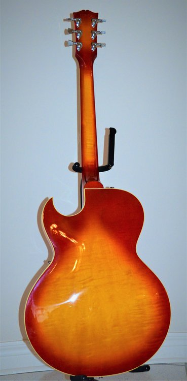 5a81dd0e3cd17_ES-137ClassicGibsonMephis-HeritageCherrySunburst-2003model-back-Neils.thumb.JPG.3a7eaae69e1b07b19fc4d877d8738a4e.JPG