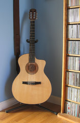 Taylor NS24ce