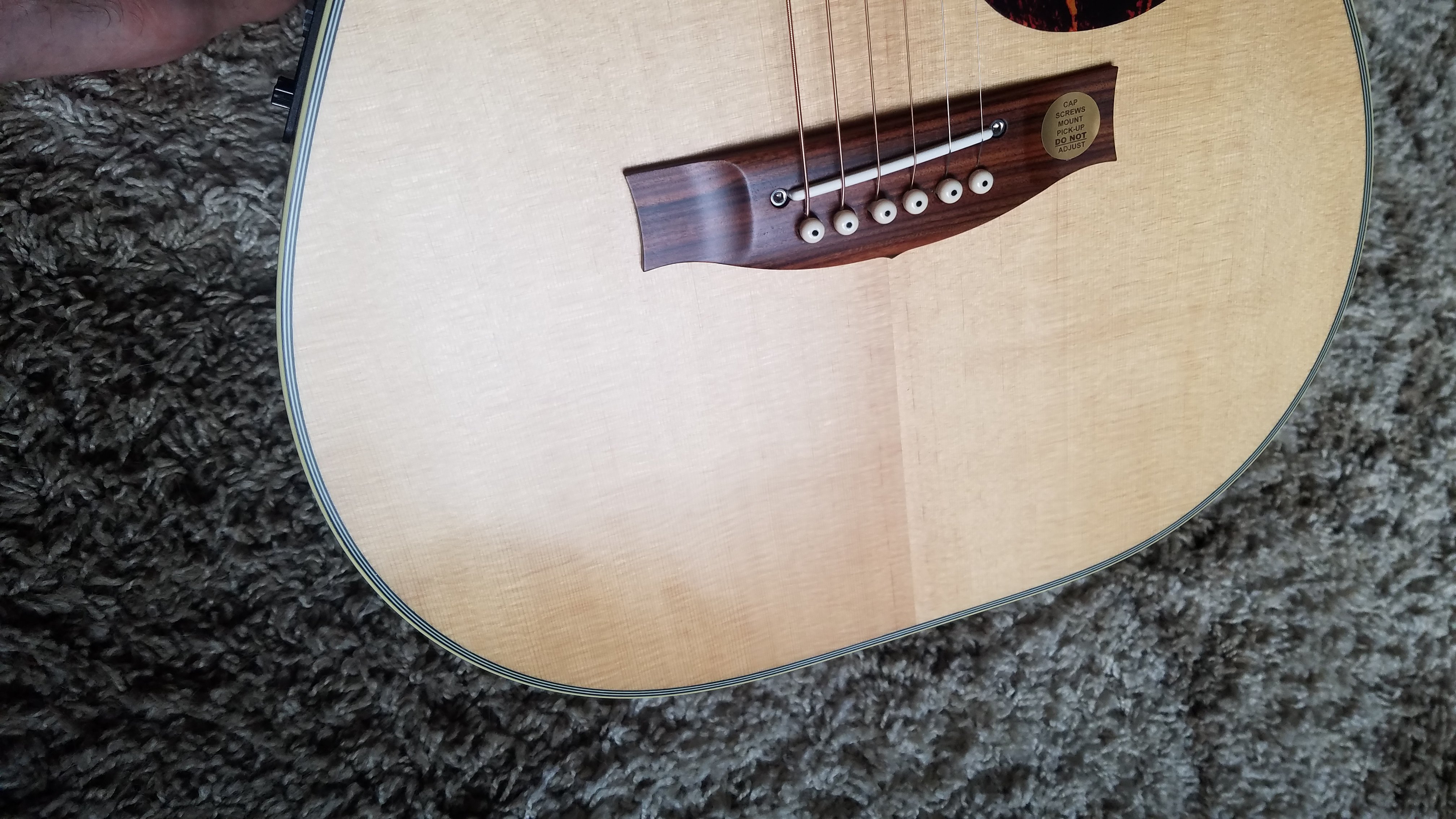 Carnauba wax deals acoustic guitar