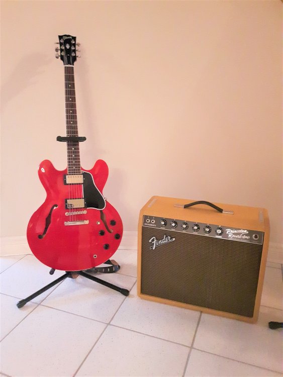 Fender Princeton '65 Reissue & Gibson ES 335 .jpg