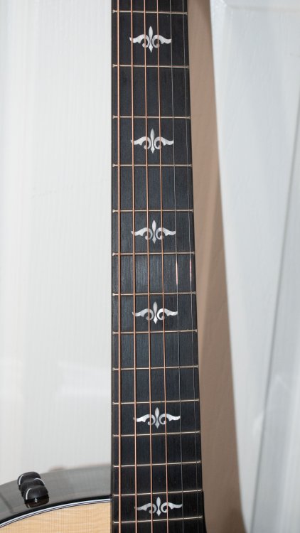 E14-fretboard.jpg